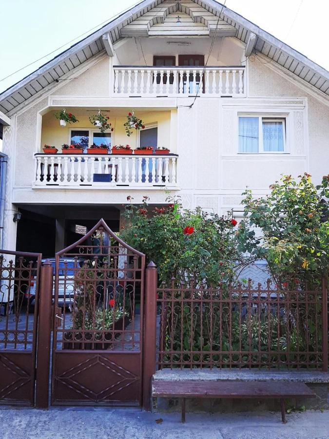 Pensiunea Maria Sighetu Marmatiei Exterior photo